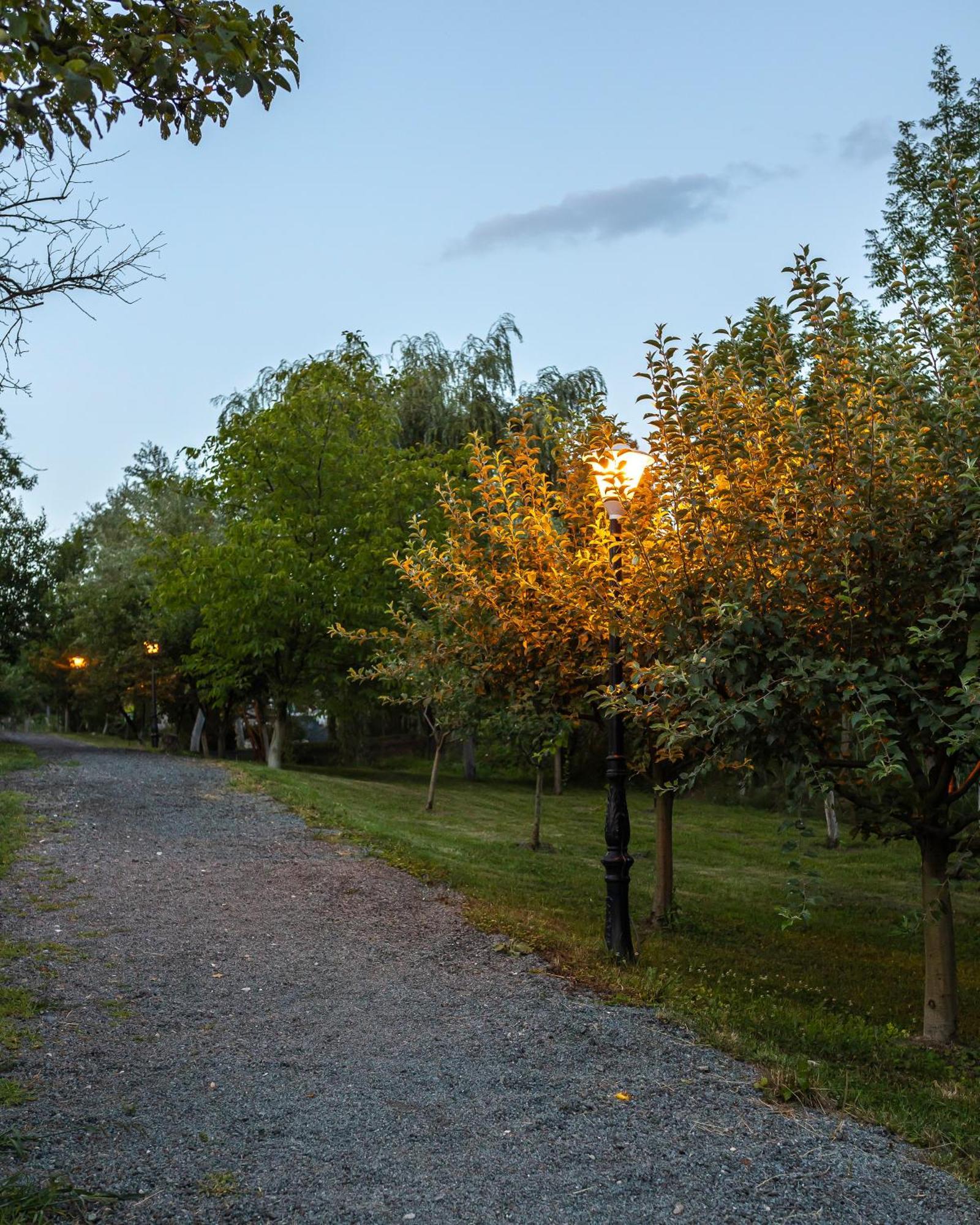 Agropensiunea Colev