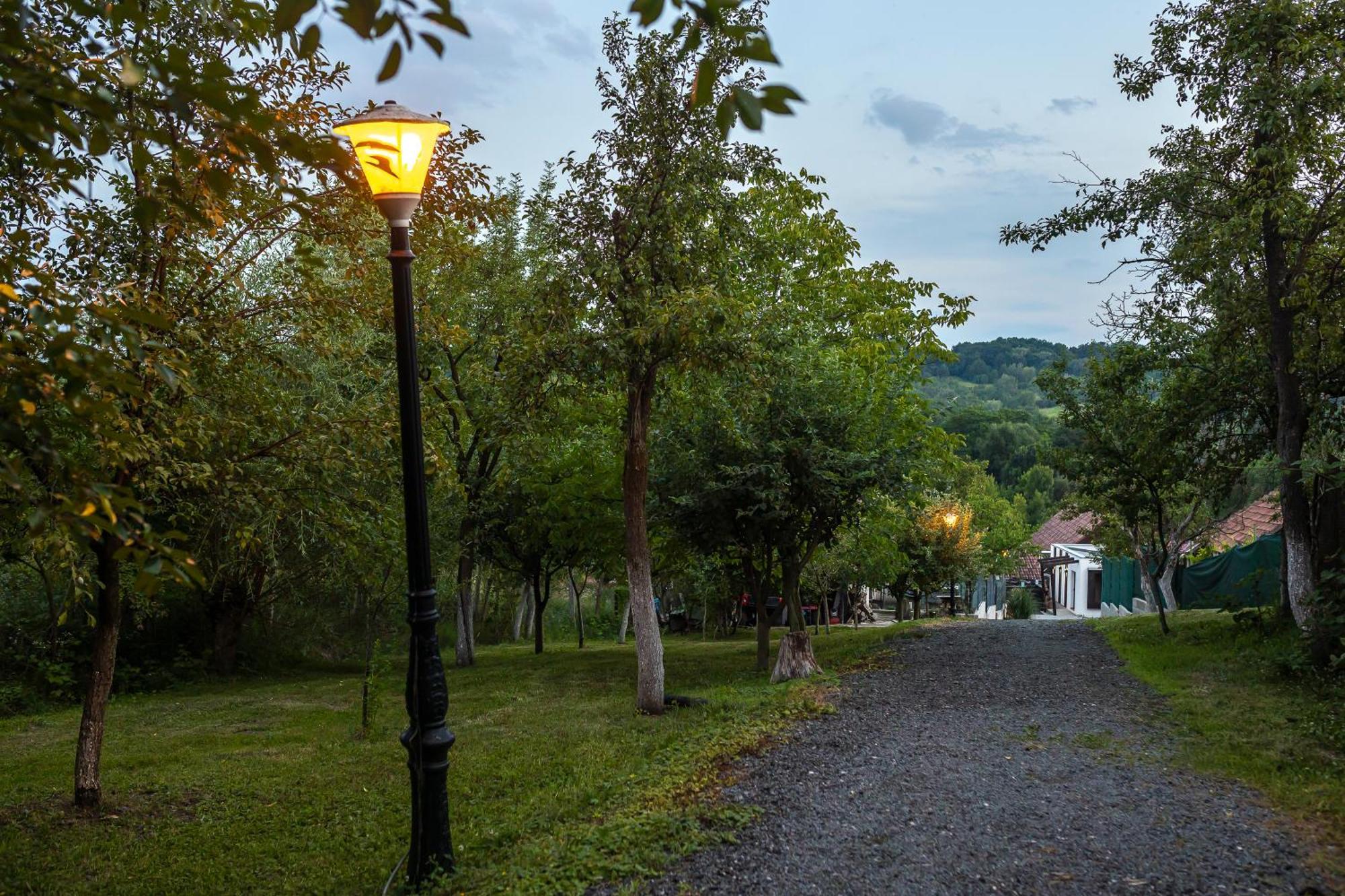 Guest house Agropensiunea Colev