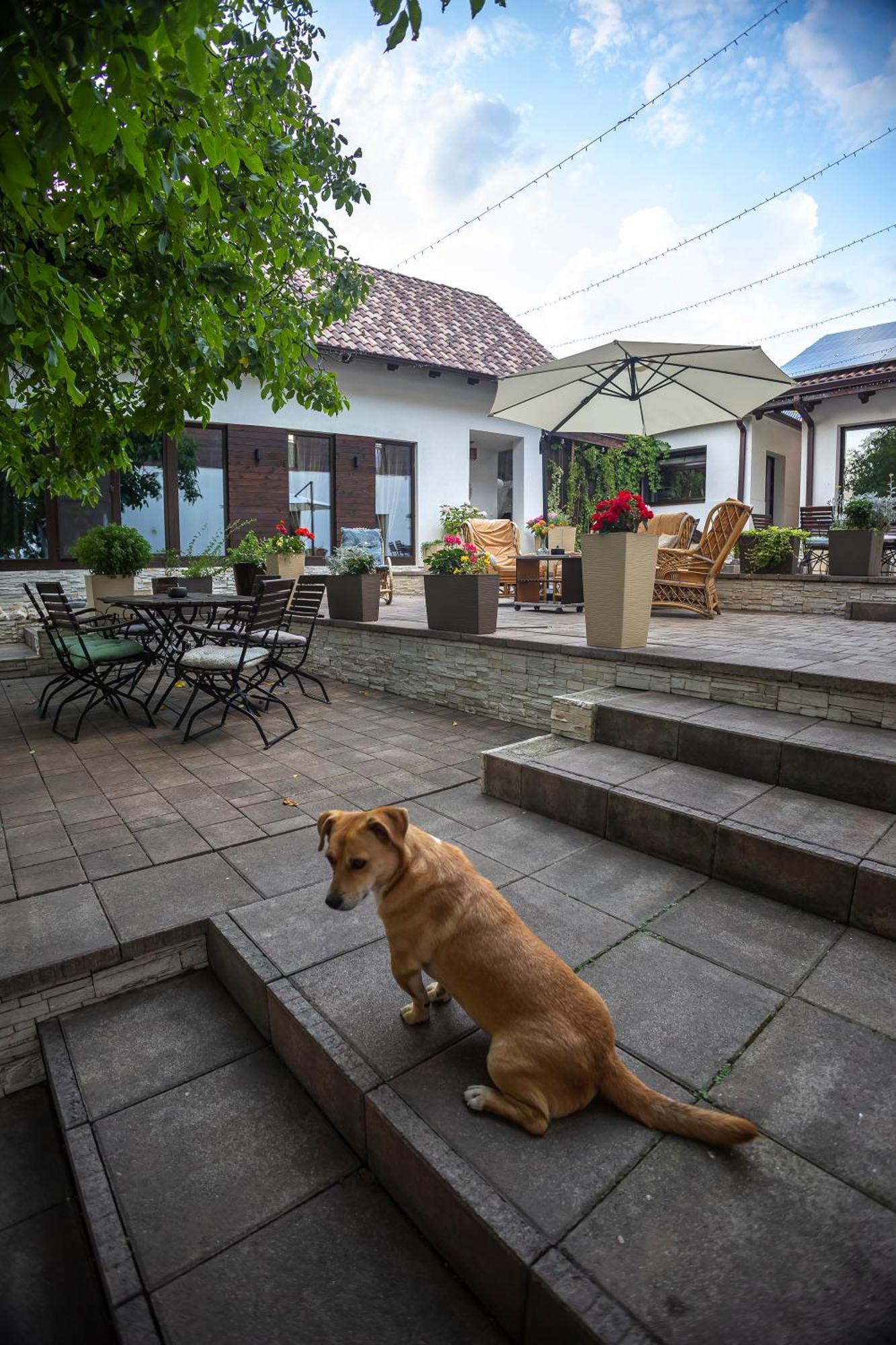 Guest house Agropensiunea Colev Stremt